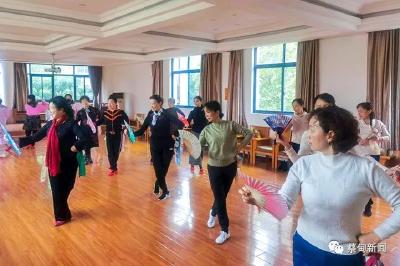 蔡甸：党建引领“夕阳红” 老干助力开新局