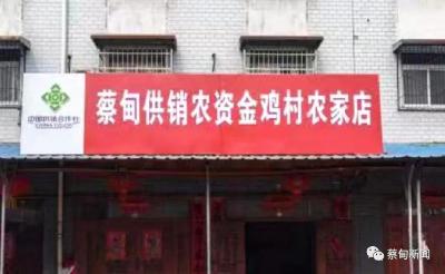  蔡甸：开展规范化改造行动 擦亮供销“金字招牌”