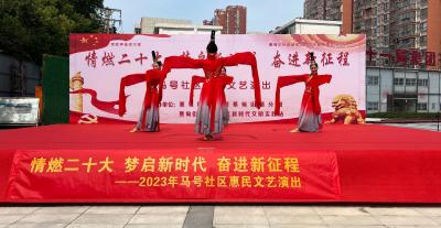 蔡甸：惠民演出进社区 文化惠民暖人心