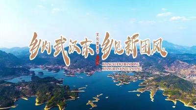 直播 | 东坡庙会.团风县首届乡村文化旅游节——《绿水青山带笑颜》大型综艺演出