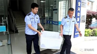 点赞！娃娃鱼现身蔡甸街头警民合力救助 帮其找到了“新家”