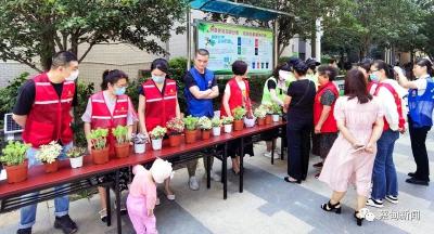 世界无烟日丨蔡甸：烟蒂换绿植，换出文明新风貌