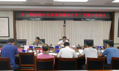 蔡甸区召开“绿水青山生态品质提优工程”专题工作会议