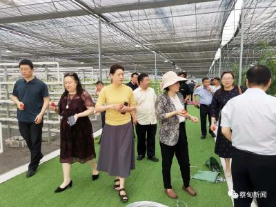 沈阳市人大领导来蔡甸区考察县乡人大换届选举和人事任免工作