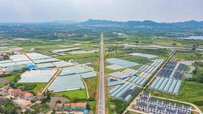 对标大湾区，全域比拼促发展·见行动丨 永安街道锚定“三带”目标大干快干拼实效