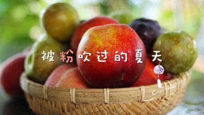 美好盛夏来蔡甸，水果采摘“桃”“李”开心！
