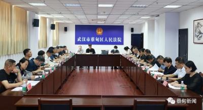 蔡甸区人大代表旁听区人民法院庭审，助力营商环境大比拼