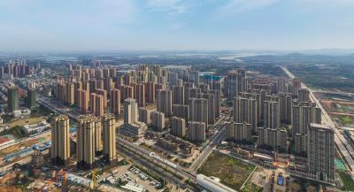 河南省灵宝市党务工作者到蔡甸区财政局考察基层党建工作