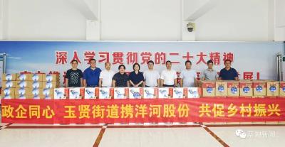 蔡甸玉贤街道：爱心企业献真情，浓情端午暖人心