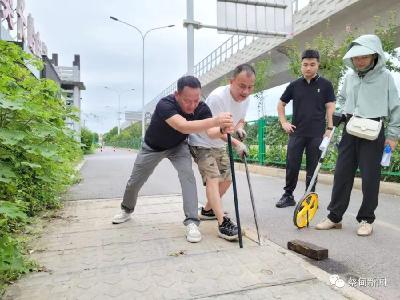 蔡甸区对地铁沿线排水工程开展审计