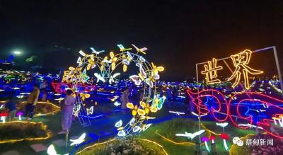 蔡甸夏夜新玩法，花博汇首届大型行浸式光影秀精彩启幕