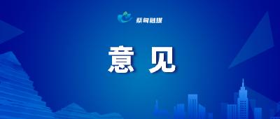 关于建立蔡甸区政协委员参与 “四大比拼”“十大工程”常态化机制的意见
