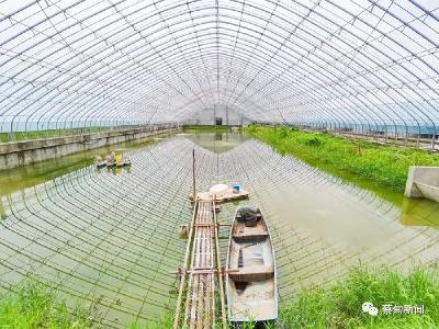 科技特派员“上阵” 助力蔡甸水产养殖绿色高质量发展