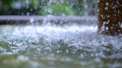 今日雨水来降温 本周末蔡甸高温又将返场