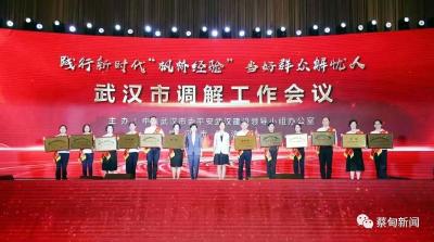 名单公示！他们是蔡甸“金牌调解”