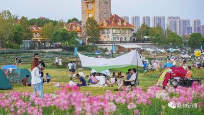  优化营商环境丨蔡甸：现场勘验优质服务 助力重点项目建设再提速