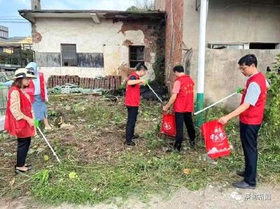 蔡甸消泗乡：党建引领聚合力 共同缔造“微治理”