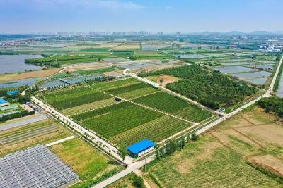  蔡甸区推进农村集体经营性建设用地入市试点工作