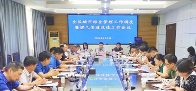 蔡甸区召开城市综合管理工作调度暨燃气管道改造工作会议