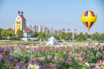 金秋花月夜双节放肆游 快来花博汇感受“五大潮玩”模式