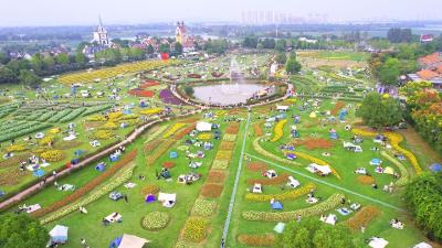 中秋国庆假期首日，武汉花博汇景区人气爆棚