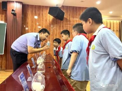 蔡甸：禁毒反诈宣传进校园 护航学生健康成长
