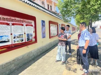 蔡甸区迎接“全国民主法治示范村”市级复核检查工作