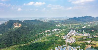 蔡甸区部署节日期间森林防灭火及林长制工作