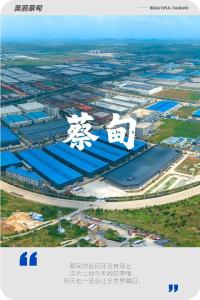 建设“双百”工业园区，你知道蔡甸有多拼吗？！