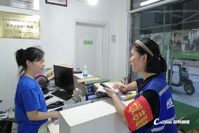蔡甸社区发挥网格力量 助力经济普查