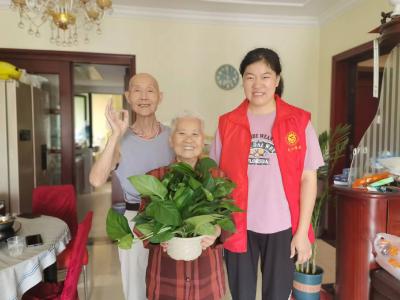 蔡甸：变废为宝美化家园 携手治理共同缔造
