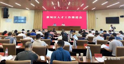 蔡甸区召开人才工作推进会