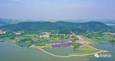 蔡甸索河：布局全域旅游“一盘棋” 打造诗和远方