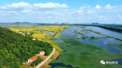 蔡甸桐湖：守护河湖生态 共建幸福河湖