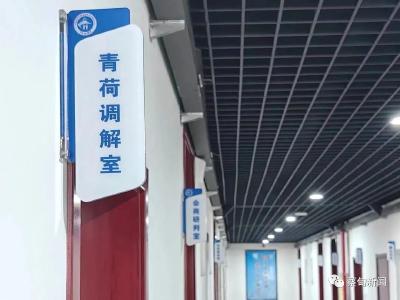 蔡甸区检察院“青荷调解室”在区综治中心正式揭牌