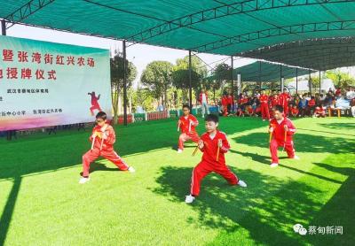 展武术风采 蔡甸区首家“武术拓展基地”授牌成立