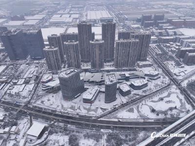 @蔡甸人 最深8厘米，今日降雪持续！最新出行通告