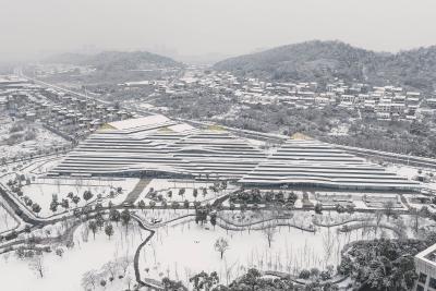 @蔡甸人，暴雪预警！还有9级大风、冻雨