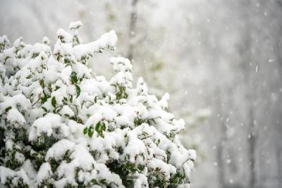 雪还没化，又要来了！武汉最新预报