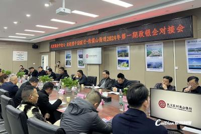 蔡甸侏儒山新春首场政银企对接会现场签约2200万元