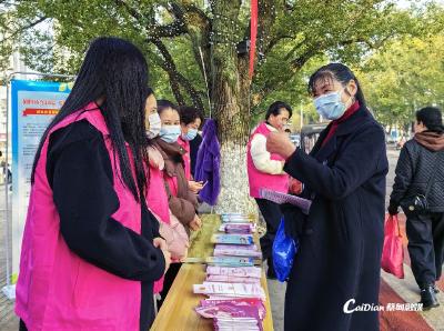 蔡甸区“三八”维权周法治宣传活动启动