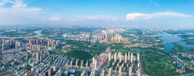 展播｜蔡甸区2024年度“十佳党员教育电视片”（二）