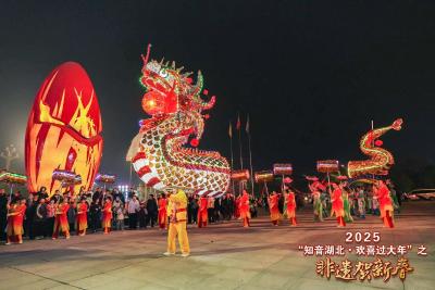 蔡甸南湖高龙亮相湖北“非遗贺新春”大舞台