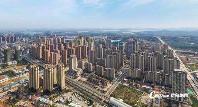返乡置业热潮涌动 蔡甸楼市借政策东风升温
