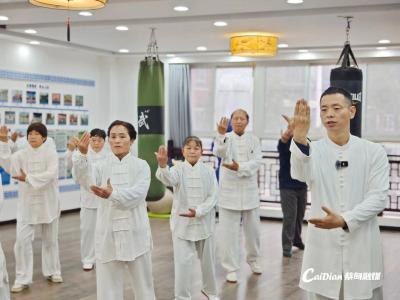 蔡甸 “天星卧功”：古韵新姿焕彩，武韵传承不辍