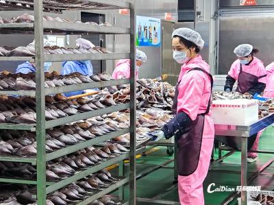 全省首创！蔡甸风干鱼低温控湿腌制技术开启产业新赛道