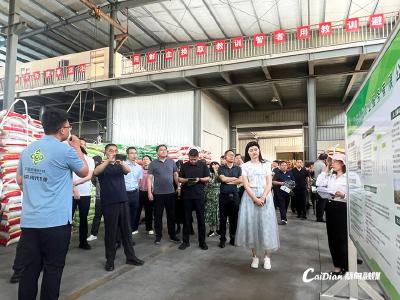 中华全国供销合作总社培训班在蔡甸开展现场教学