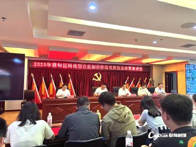 无需抵押！蔡甸科技企业凭“知识”轻松贷款