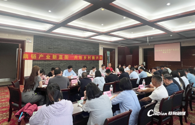 蔡甸区莲藕产业发展协会换届 擘画乡村振兴新图景