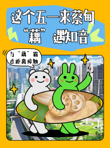这个五一太值得去蔡甸“藕”遇知音了！
